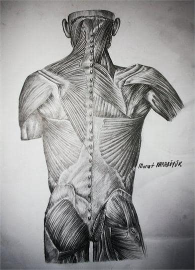 Karakalem Portre Sevgili Hediye İstanbul ankara sanat resim güzel sanatlar ANATOMİ 7